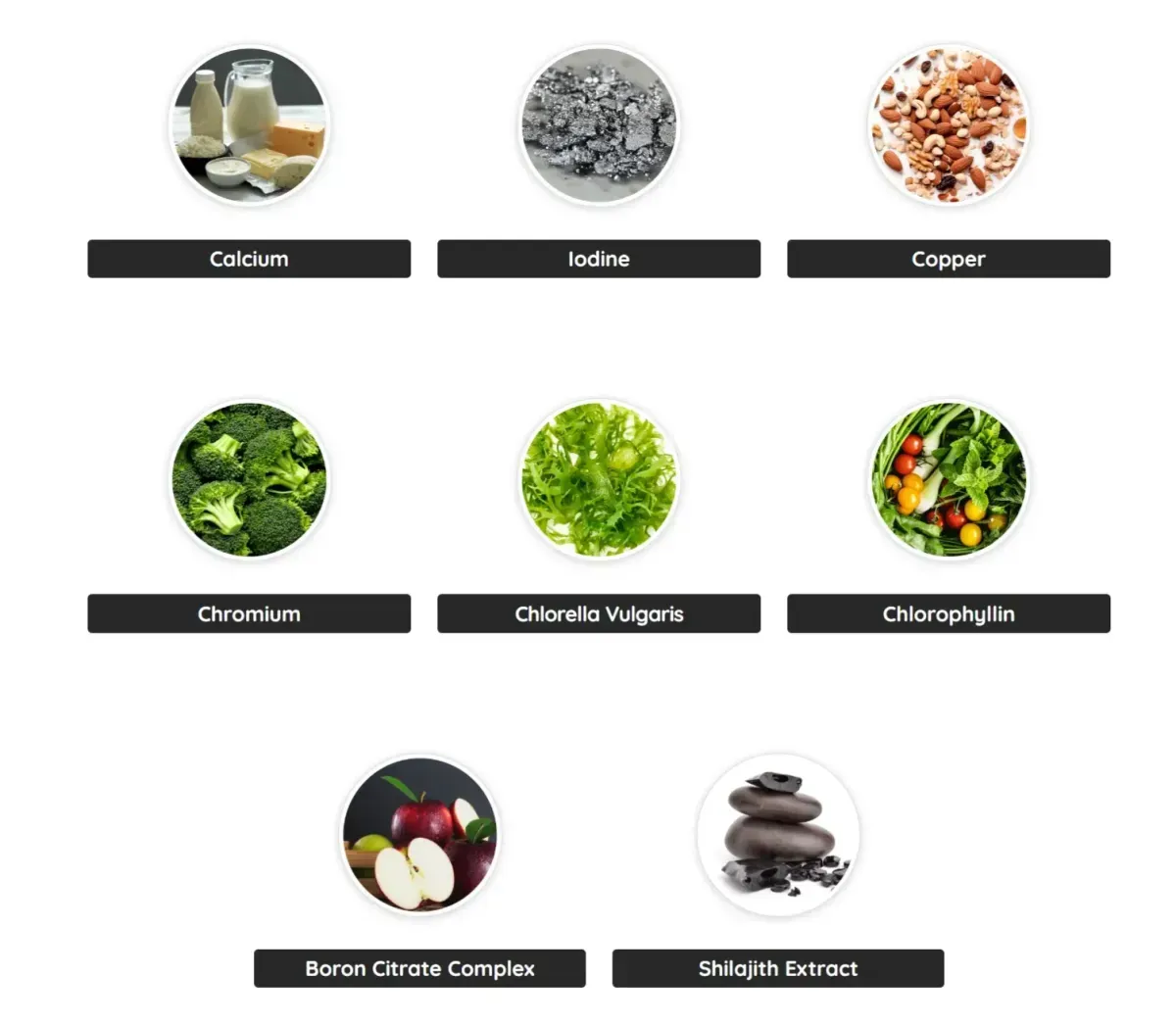 denticore ingredients